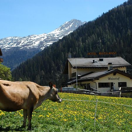 Hotel Restaurant Walserhof Medels Im Rheinwald Εξωτερικό φωτογραφία