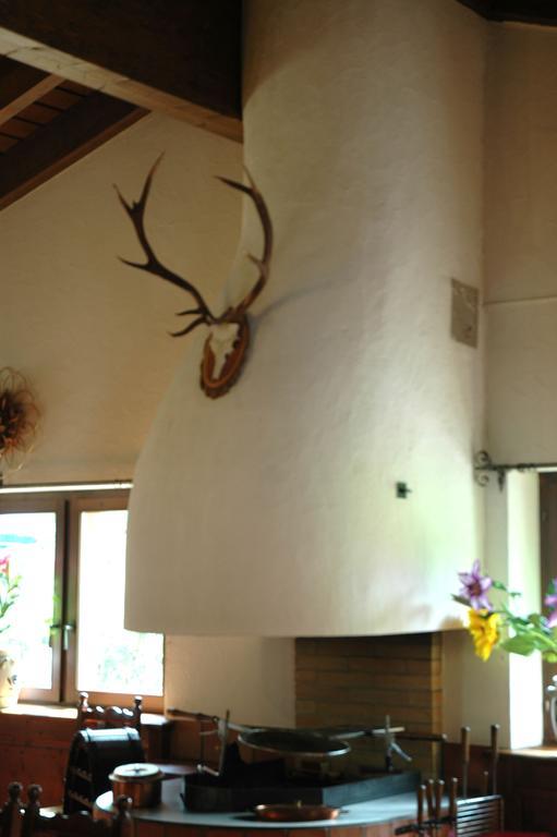 Hotel Restaurant Walserhof Medels Im Rheinwald Εξωτερικό φωτογραφία