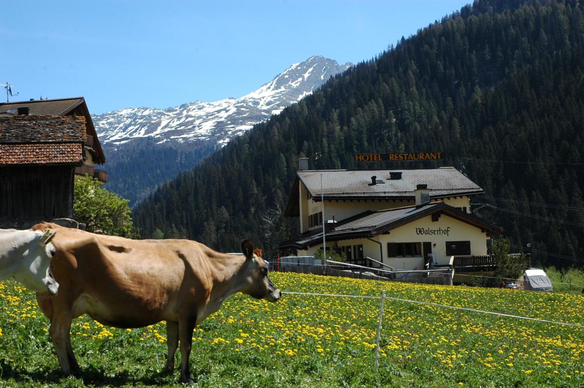 Hotel Restaurant Walserhof Medels Im Rheinwald Εξωτερικό φωτογραφία